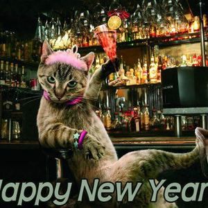 Meet your Posher, Ann